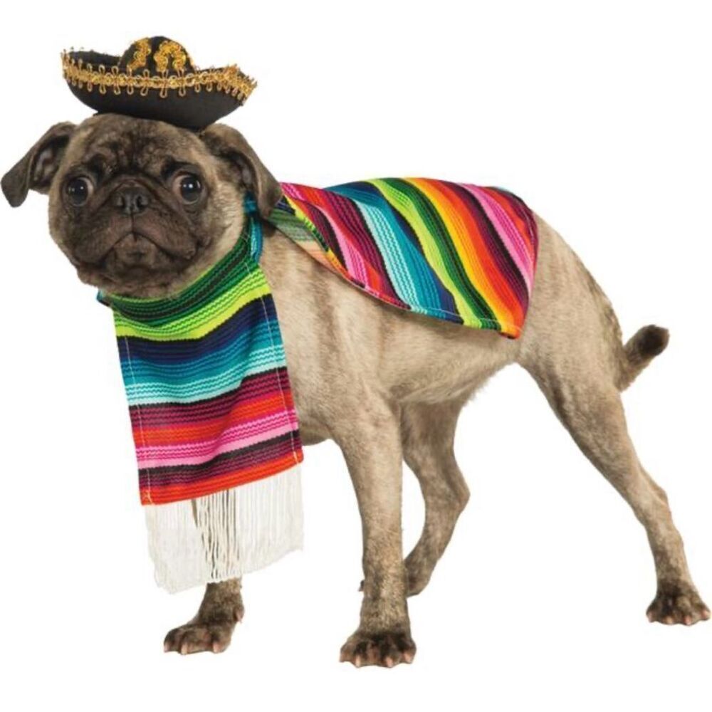 ⭐️ Rubies Pet Shop Pet Halloween Costume Mexican Dog Size Large